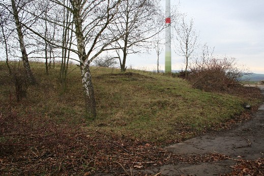 Zum Vergrößern anklicken